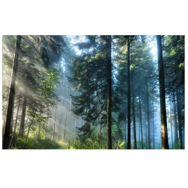 Beautiful Printed Natural Forest Large Wall Tapestry Bohemian Art Tapestries