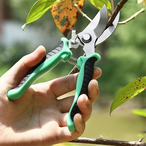 Fruit Tree Flower Pruning Scissors Stainless Steel Branch Shears Garden Tool Pruning Shears & Snips