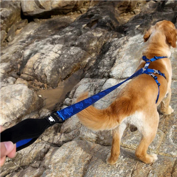 Whinyepet Dog Leash 2Cm Width And 1.4 M Length Black Leads & Head Collars