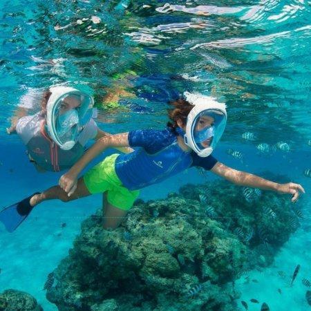 Masks Diving Snorkelling Full Face Snorkeling Mask