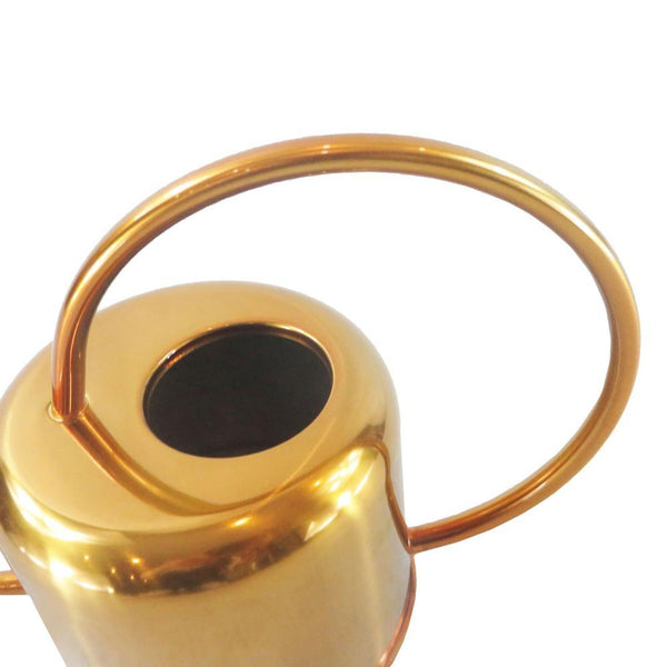 Gold Elliptical Watering Can Indoor Garden Decor Watering Cans & Spray Bottles
