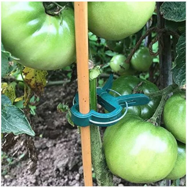 Garden For Tomatoes 40 Pcs Plant Clips Climbing Plants Reusable Support Greenhouse Gardening Plant Ties & Supports