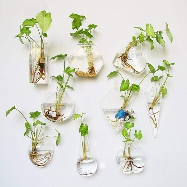 Hydroponic Glass Pot Indoor Garden Decor Wall Art Vases