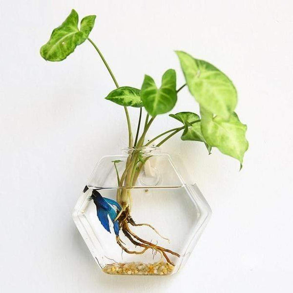 Hydroponic Glass Pot Indoor Garden Decor Wall Art Vases