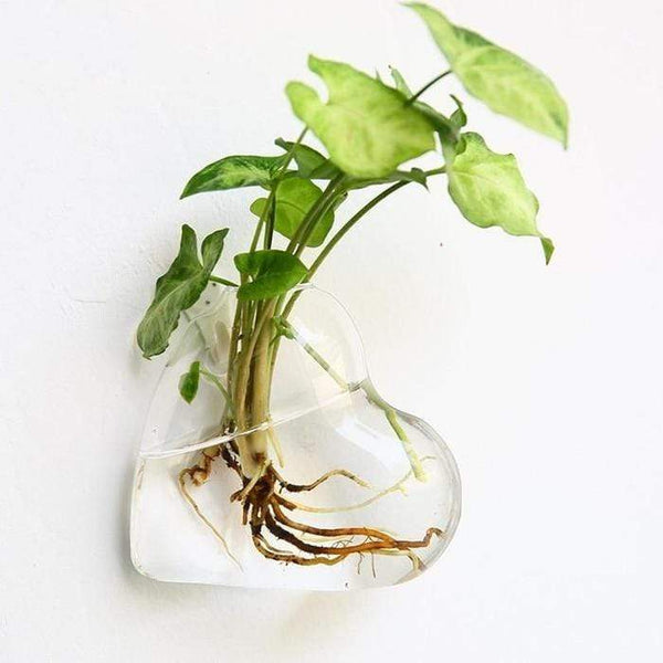 Hydroponic Glass Pot Indoor Garden Decor Wall Art Vases
