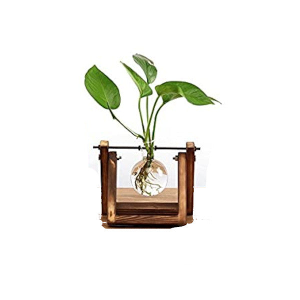 Glass Wood Hydroponics Vase Planter Desktop Terrarium Baskets Pots Window Boxes