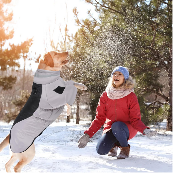 Grayish Black Reflective Winter Dog Coat Waterproof Puffer Vest With Harness Ring For Outdoor Walks(6Xl) Dog Clothing & Shoes
