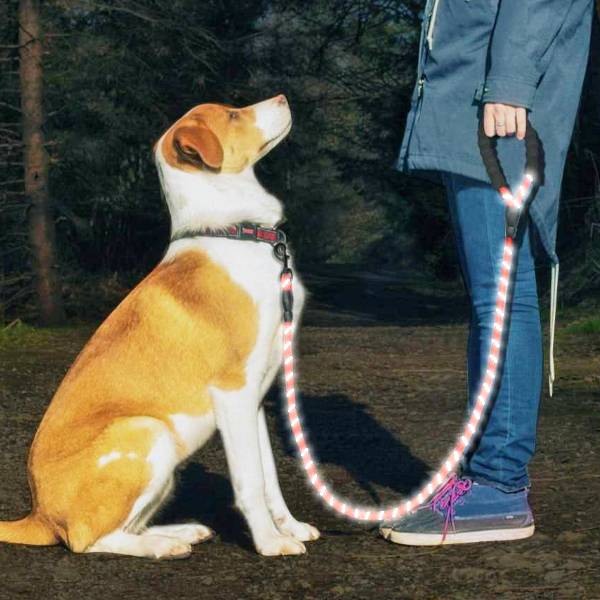 Green Reflective Dog Pet Leash Rope Nylon Small Medium Large Dogs Puppy Leashes 150Cm Long Heavy Duty