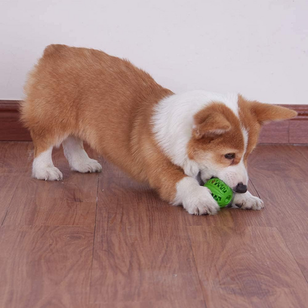 Green Treat Ball Dog Toys
