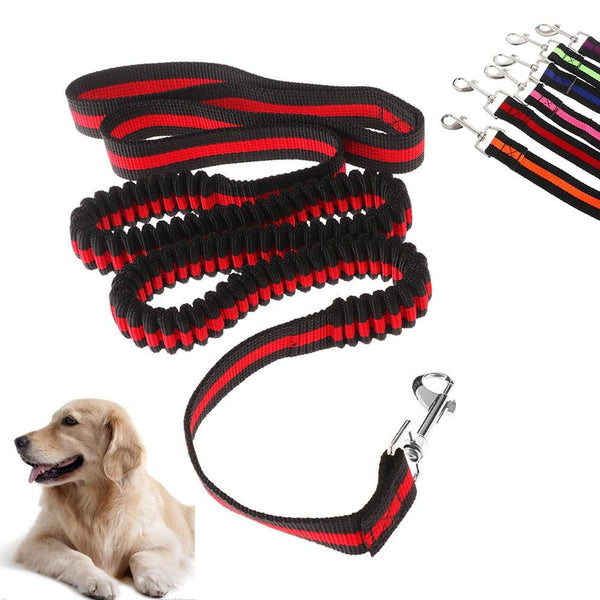 Leads & Head Collars Pet Lead Large Small Dog Leash 1.2 Metre Expandable Bungee Training Rope