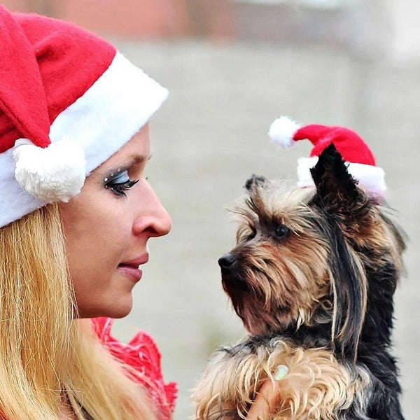 Pet Christmas Santa Hat Costume Xmas Winter Headwear Dogs Dog Costumes