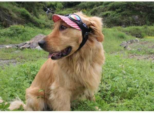 Super Cute Foldable Waterproof Goggles Uv Protection Dogs Sunglasses Dog Clothing & Shoes