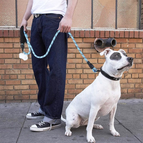 150/200/300 Centimeter Strong Dog Leash Pet Leashes Reflective For Big Small Medium Leads & Head Collars