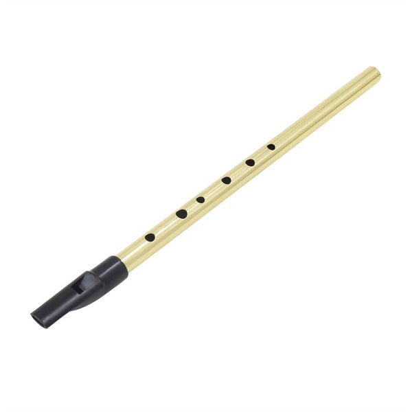 6 Hole Flute D Key Tin Penny Whistle Metal Instrument Woodwind Musical Beginners Accessories Whistles