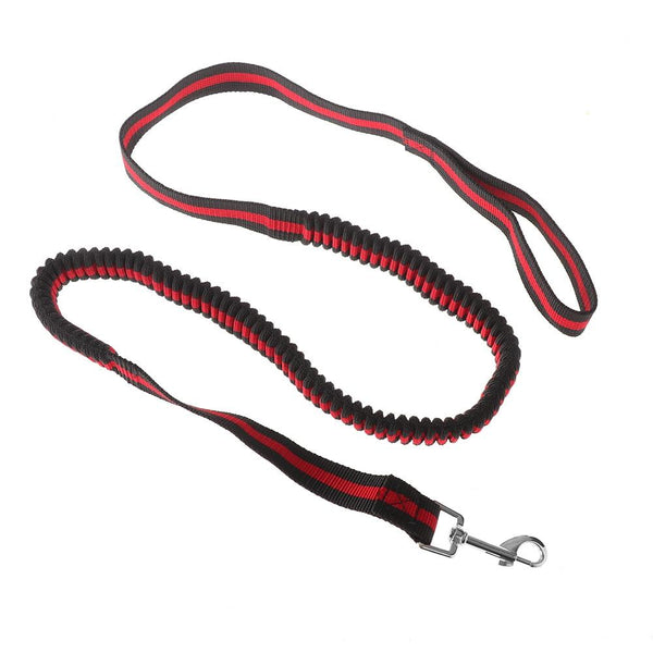Leads & Head Collars Pet Lead Large Small Dog Leash 1.2 Metre Expandable Bungee Training Rope