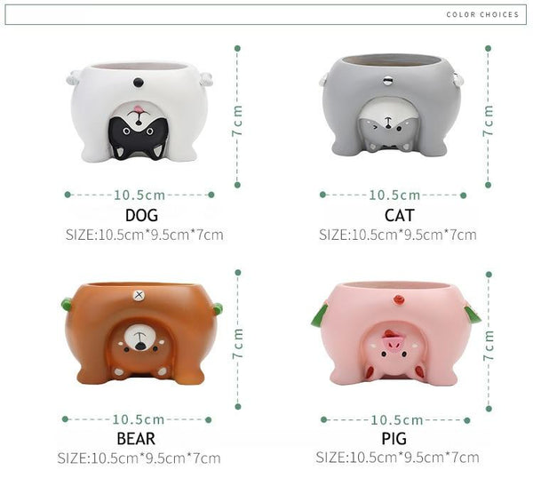 Mini Novelty Animal Succulent Plant Pots Baskets Pots Window Boxes