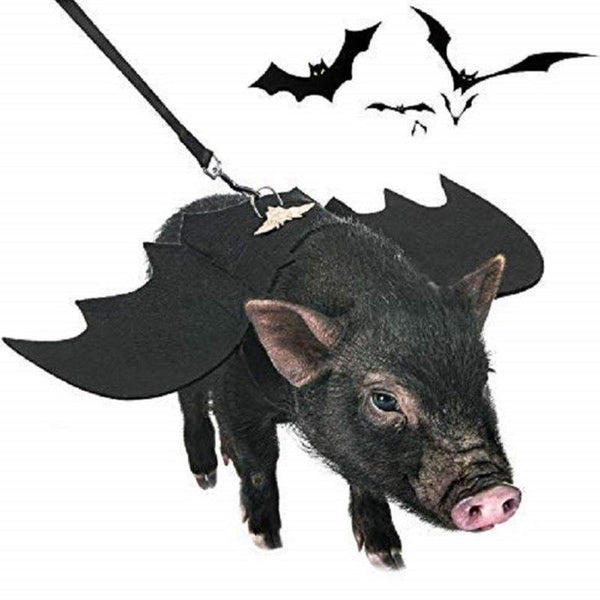 Bat Wing Halloween Dog Costume Dog Costumes
