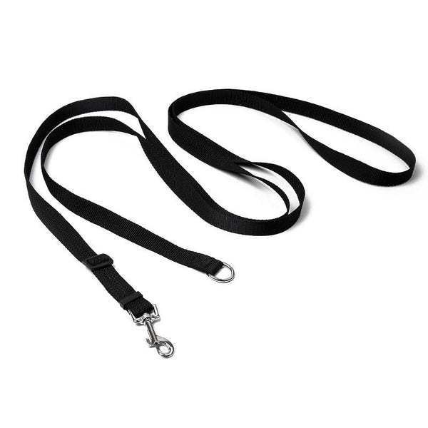 Light Nylon Dog Leash Leads & Head Collars