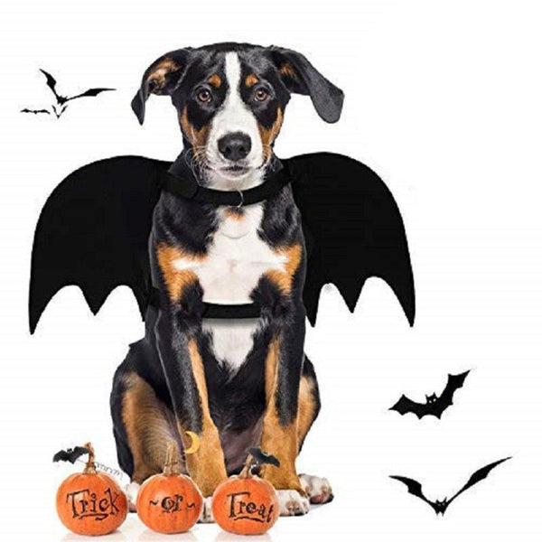 Bat Wing Halloween Dog Costume
