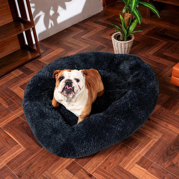 Pooch Pocket Bed For Dogs Blue Pet Beds