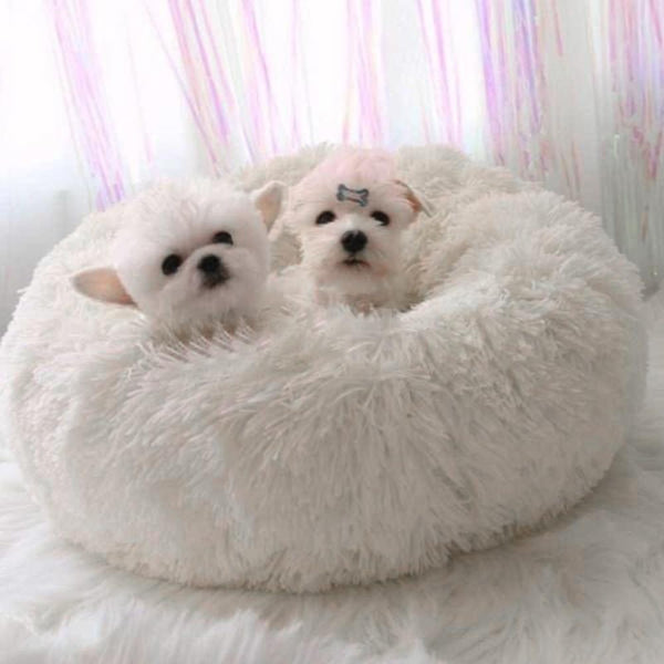 The Cloud Dog Bed Comfy Pet Nest