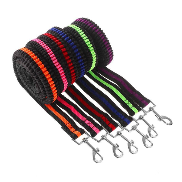 Pet Lead Large Small Dog Leash 1.2 Metre Expandable Bungee Training Rope Leads & Head Collars