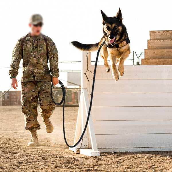 Durable Medium Large Pet Dog Long Training Leash