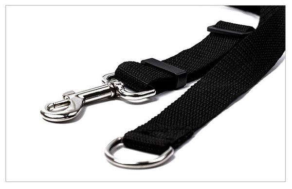 Light Nylon Dog Leash Leads & Head Collars