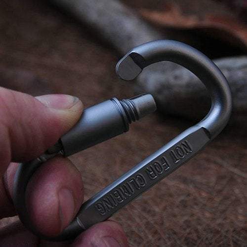 Carabiners D Type Hanging Aluminium Alloy Buckle With Lock Silver