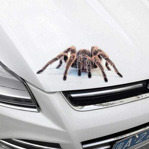 Car Decorations Three Dimensional Spider Gecko Sticker Multi A