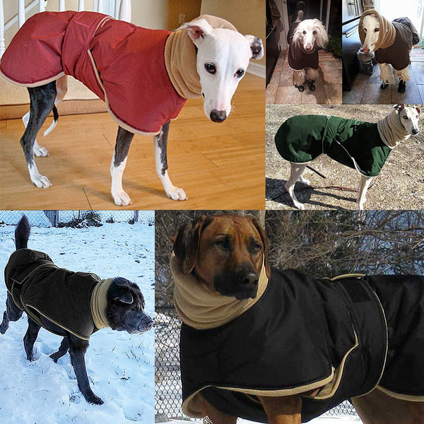 Waterproof Warm Winter Dog Jacket Large Breeds Dog Clothing & Shoes