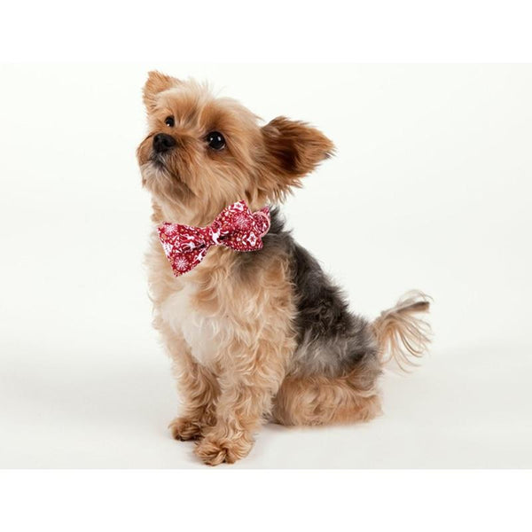 Red Christmas Dog Collar With Bow Tie