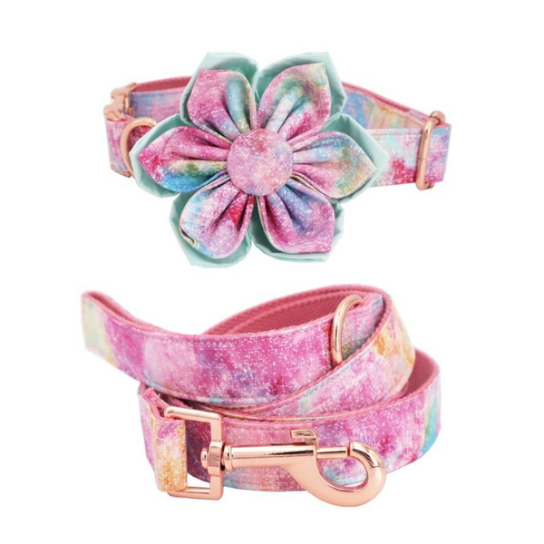 Handmade Dream Girl Dog Collar With Optional Matching Leash Flower Leads & Head Collars