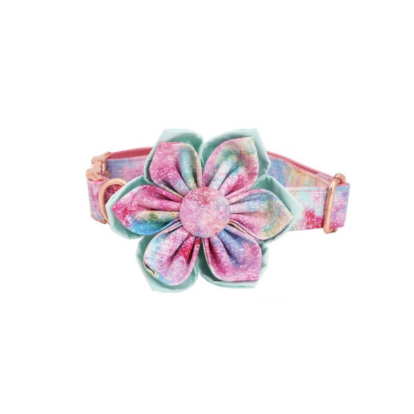 Handmade Dream Girl Dog Collar With Optional Matching Leash Flower Leads & Head Collars