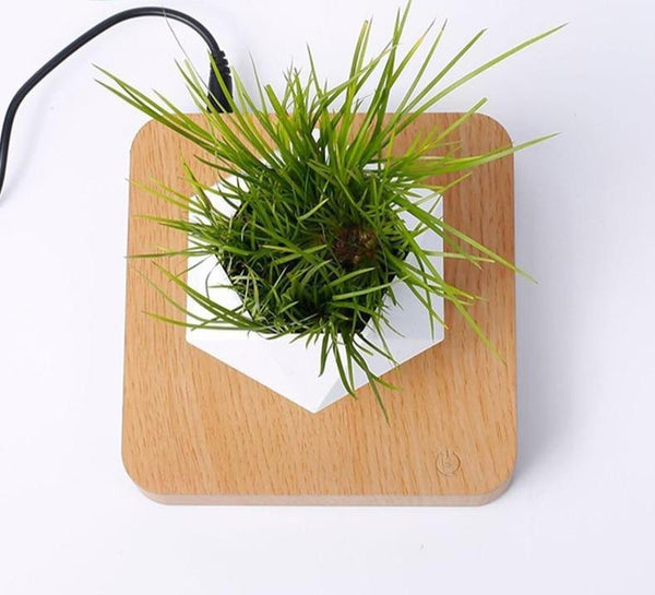 Levitating Pot Bonsai Magnetic Floating Rotating Plant Baskets Pots Window Boxes