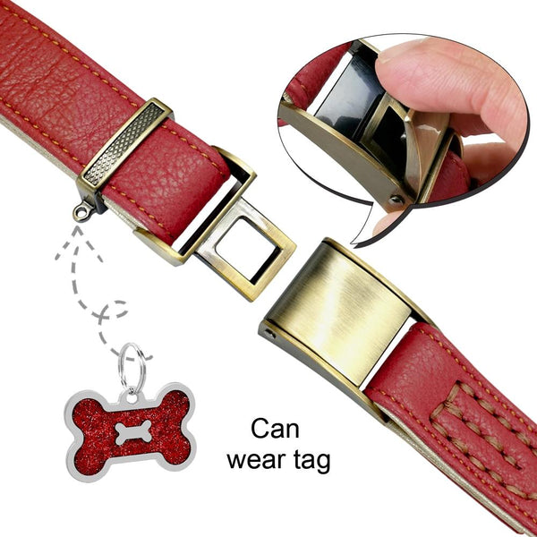Adjustable Padded Genuine Leather Dog Collars