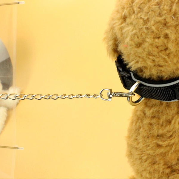 Transparent Pet Umbrella Built In Leash Leads & Head Collars