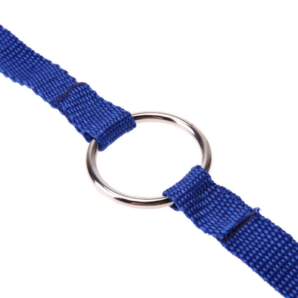 Blue Double Dog Leash Connector Pet Supplies Leads & Head Collars
