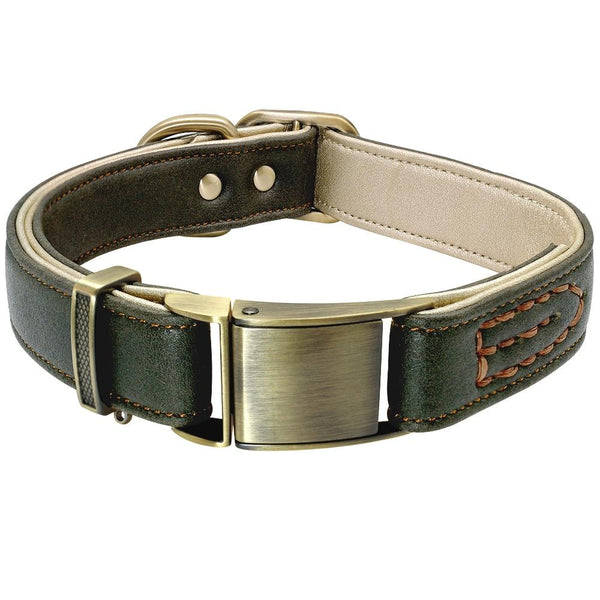 Padded Genuine Leather Dog Collars Leads & Head Collars