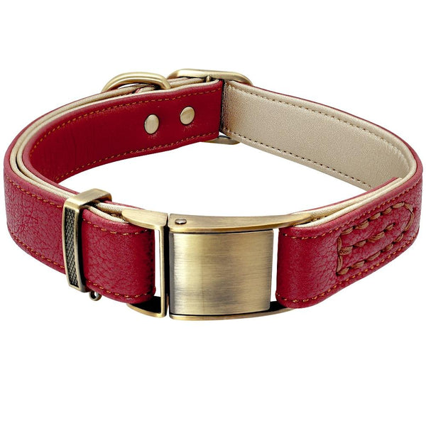 Padded Genuine Leather Dog Collars Leads & Head Collars