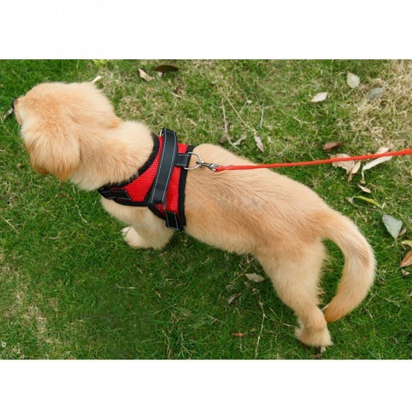 The Hero Harness For Dogs Harnesses
