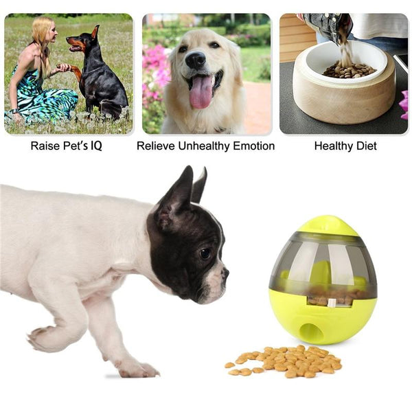 Iq Interactive Food Dispensing Pet Toy Dog Toys