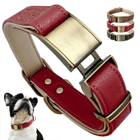 Padded Genuine Leather Dog Collars Leads & Head Collars