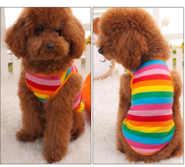 Rainbow Summer Stripes Dog Tank Top Pet Clothing Dog Clothing & Shoes