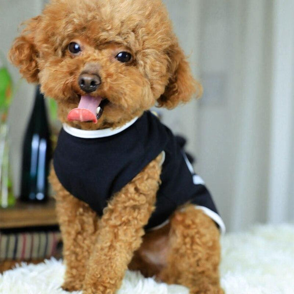 Printed �Love� Dog Tee Pet Clothing