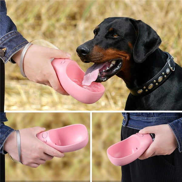 Pet Water Bottle | Travel Dog Drink Bowl In Three Colours Dishes Feeders & Fountains