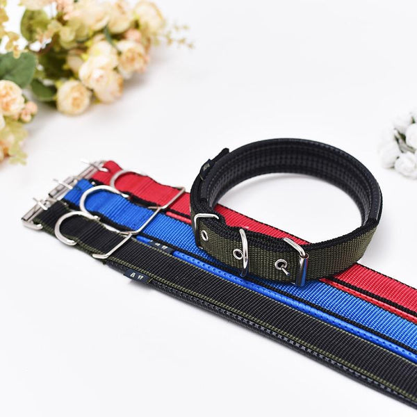 Walk Me Nylon Flat Dog Collar Dog Collars