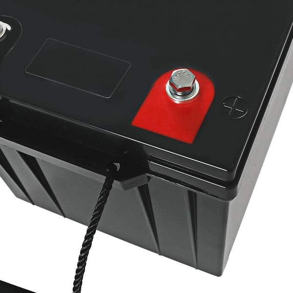 Galvan 12V Lithium Iron Lifepo4 Deep Cycle Rechargeable Battery Single Use Batteries