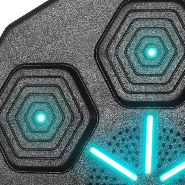 Centra Smart Punching Boxing Electronic Punching Bags