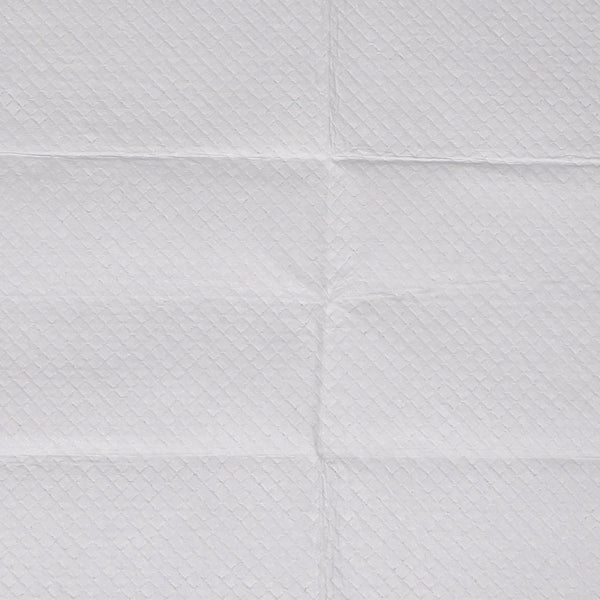 Pawz 400X Pet Dog Toilet Training Pad Absorbent And Convenient Pads For Other Training & Obedience